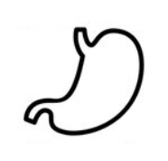 Gastroskopie